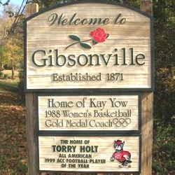 The Burke Manor Inn - Area Activities